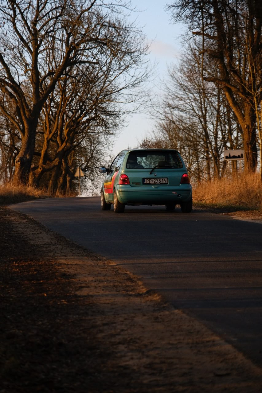 And some photos from Dave's Junkyard