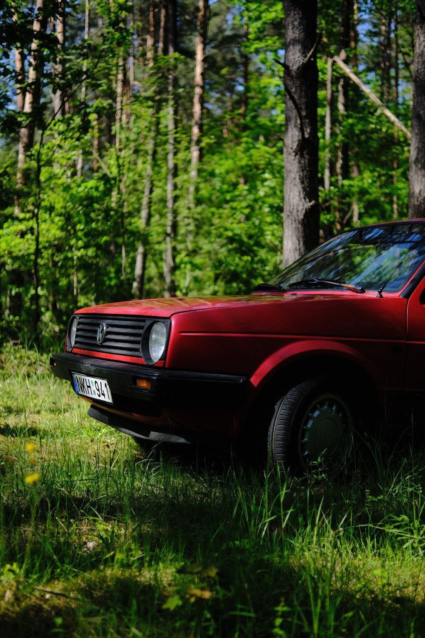 Photos from Dave's Junkyard