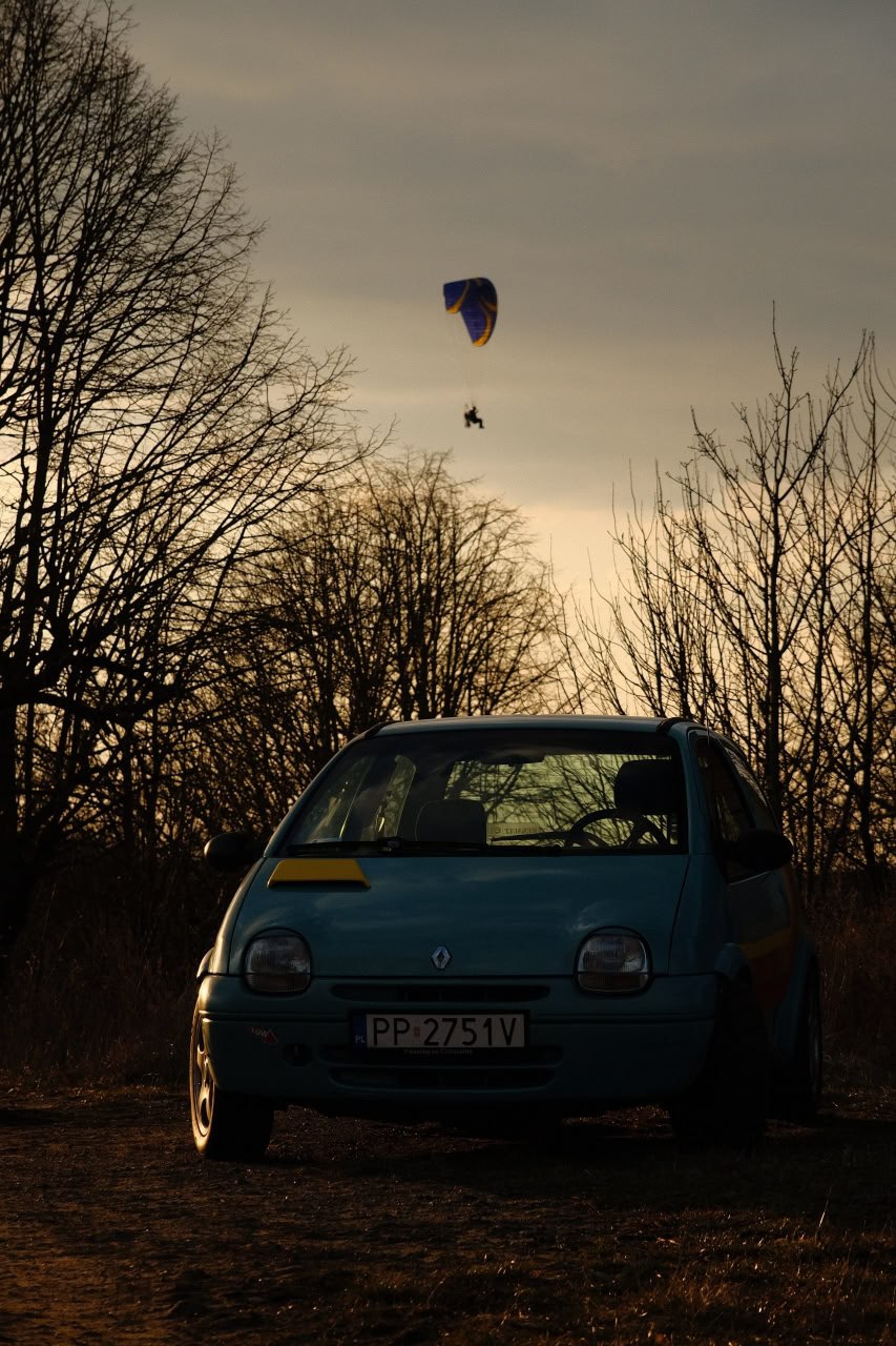 And some photos from Dave's Junkyard