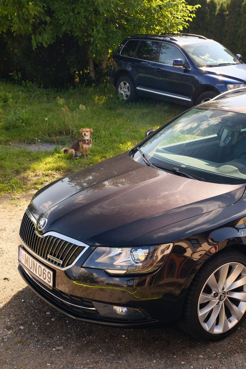 Since I polished Superb and moved to a house, I decicded to wash my car myself. Bought a compressor and some chemistry. That was a quick wash and still there are a lot of thing to learn, but I'm glad.