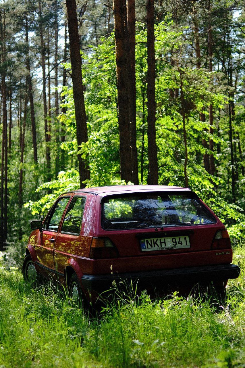 Photos from Dave's Junkyard