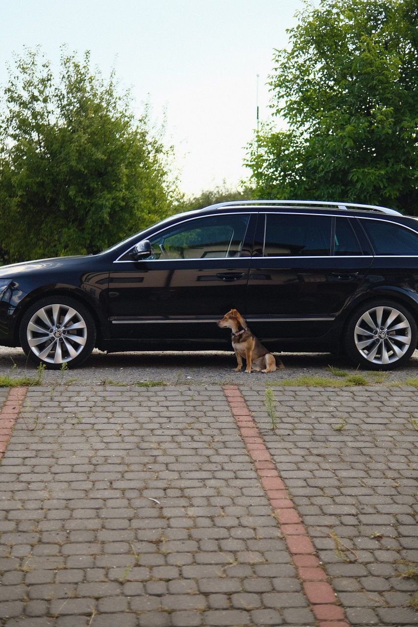 Since I polished Superb and moved to a house, I decicded to wash my car myself. Bought a compressor and some chemistry. That was a quick wash and still there are a lot of thing to learn, but I'm glad.