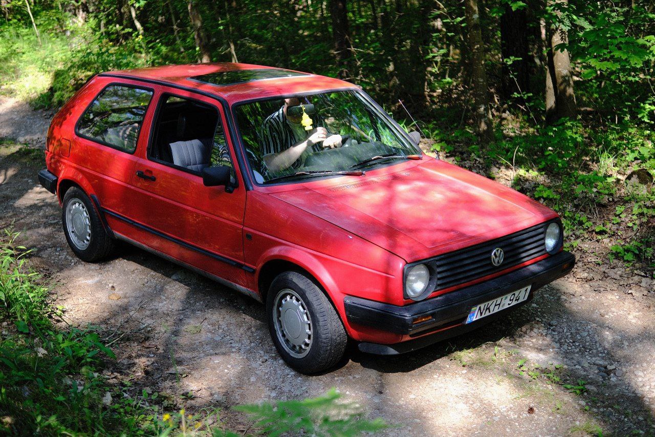 Photos from Dave's Junkyard