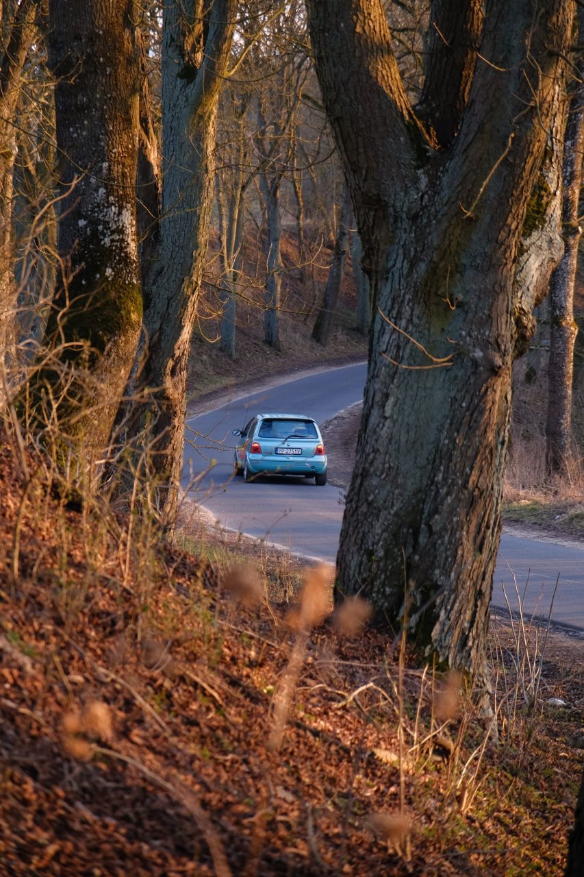 And some photos from Dave's Junkyard