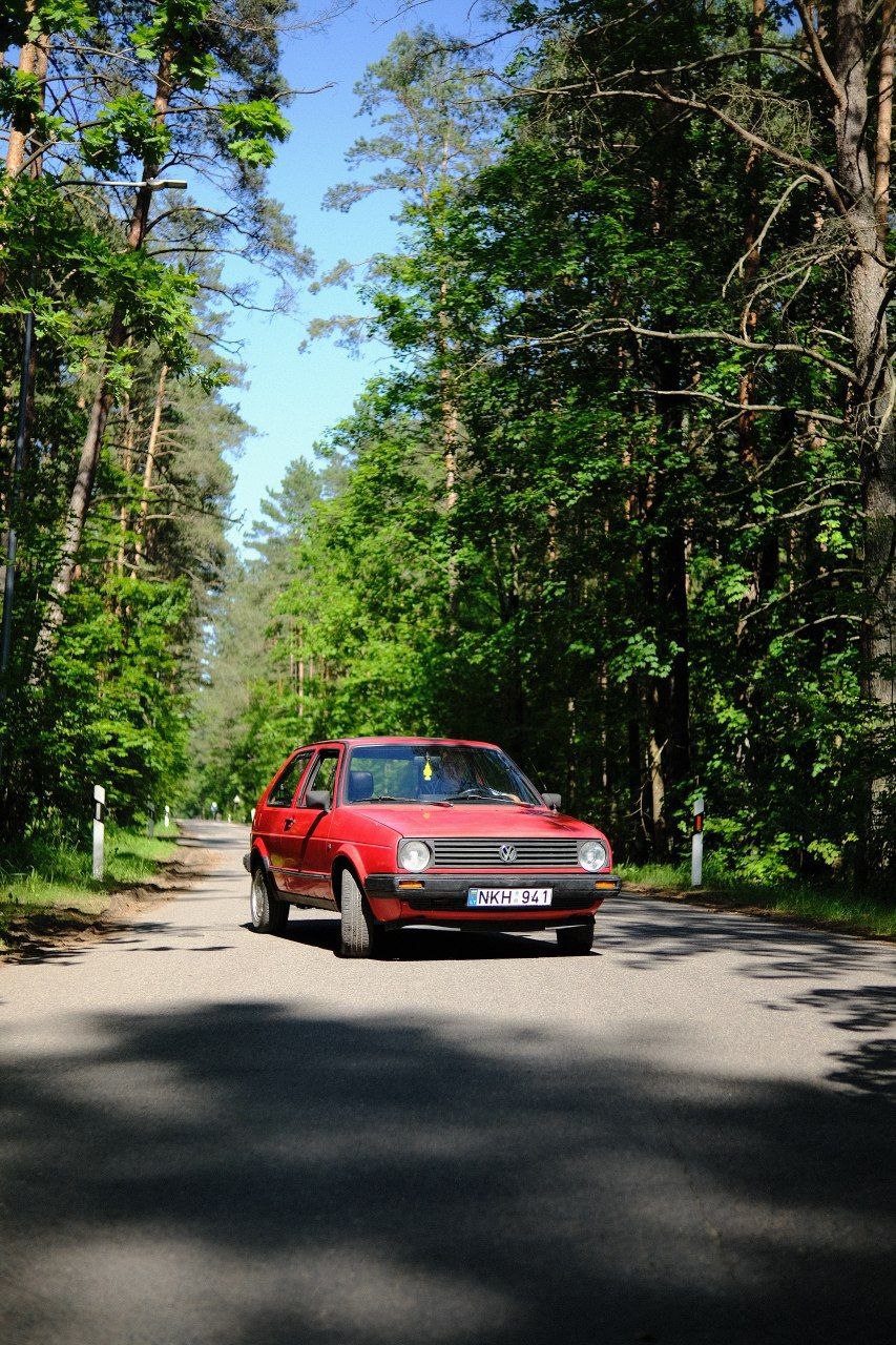 Photos from Dave's Junkyard